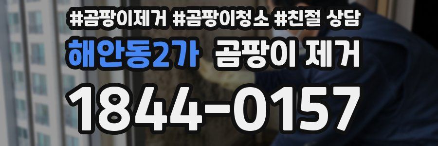 해안동2가 곰팡이 제거
