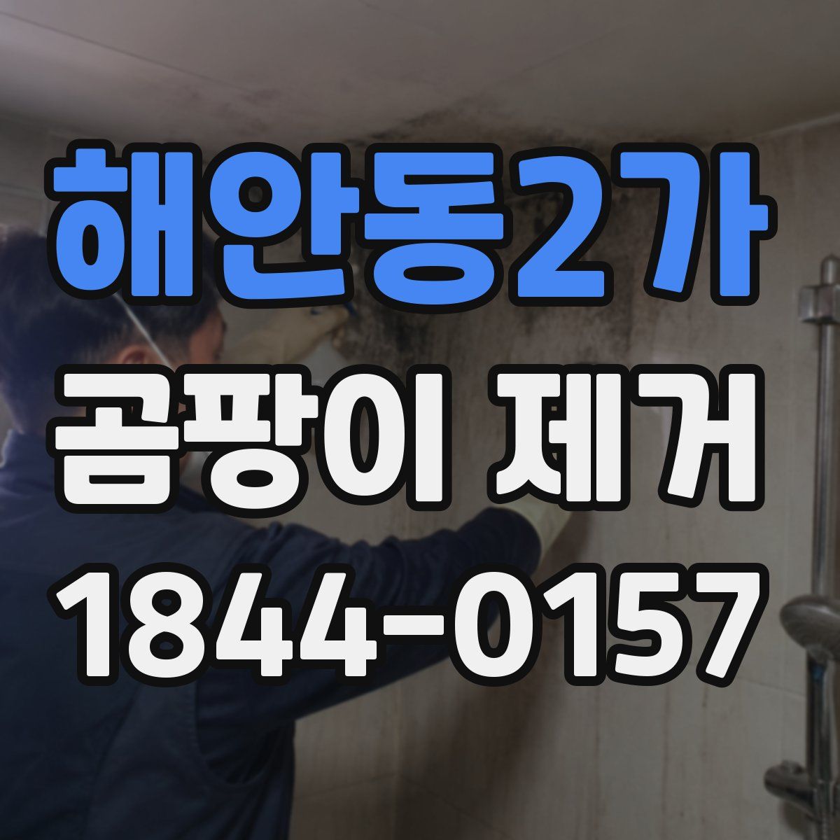 해안동2가 곰팡이 제거