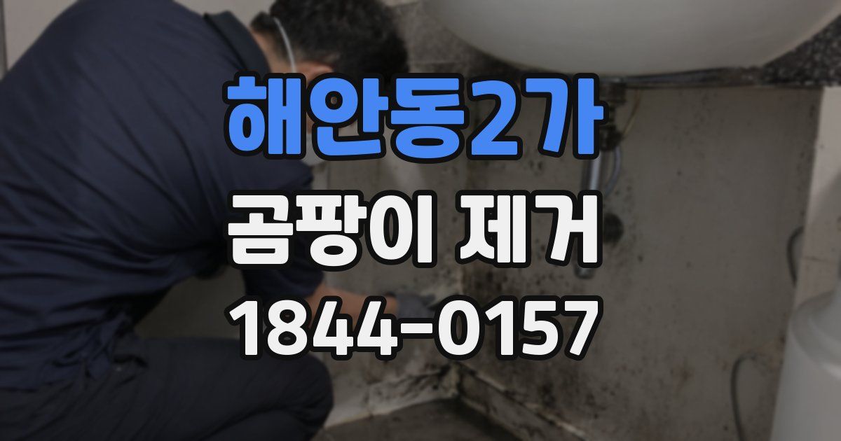 해안동2가 곰팡이 제거