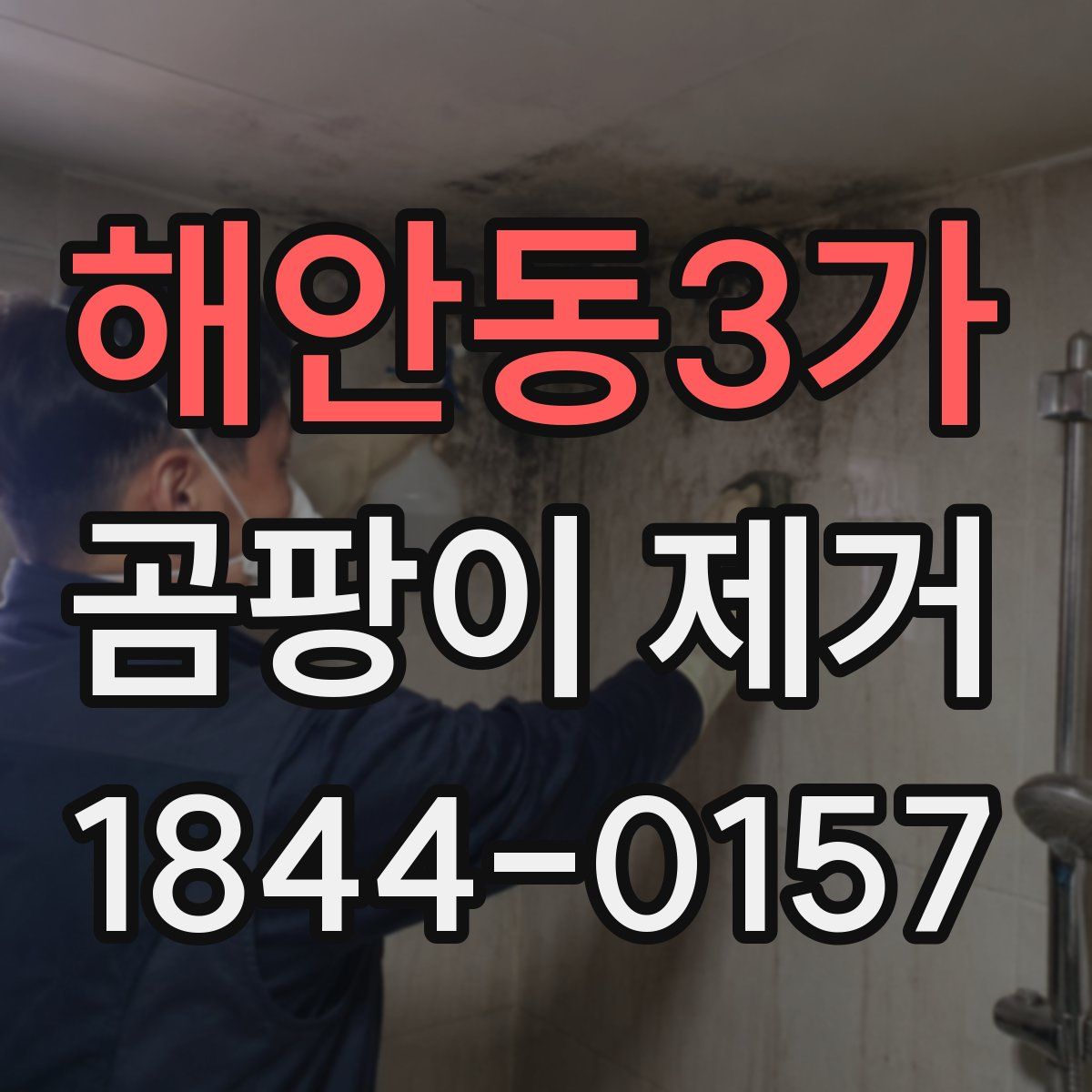 해안동3가 곰팡이 제거