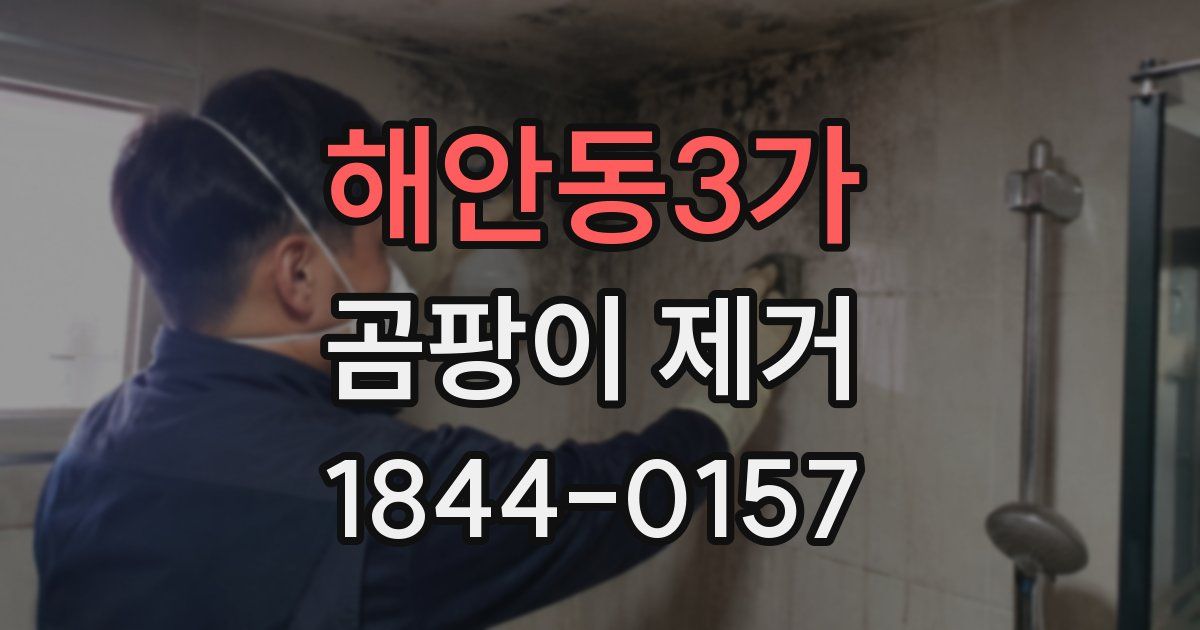 해안동3가 곰팡이 제거