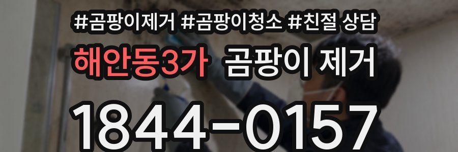 해안동3가 곰팡이 제거