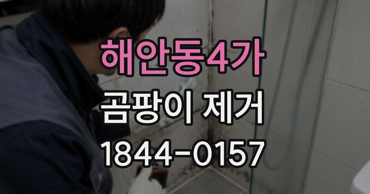 해안동4가 곰팡이 제거