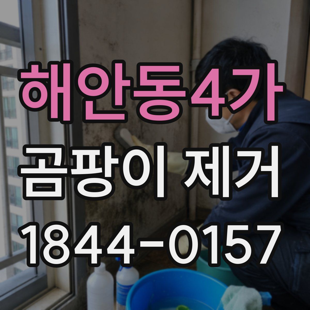 해안동4가 곰팡이 제거