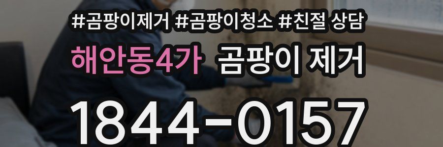 해안동4가 곰팡이 제거