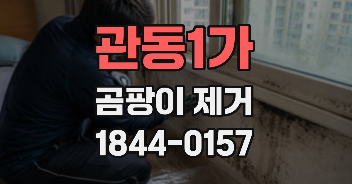 관동1가 곰팡이 제거