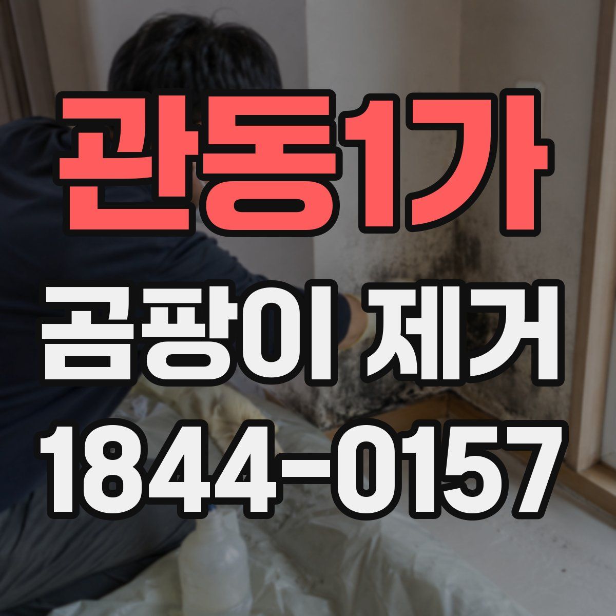 관동1가 곰팡이 제거
