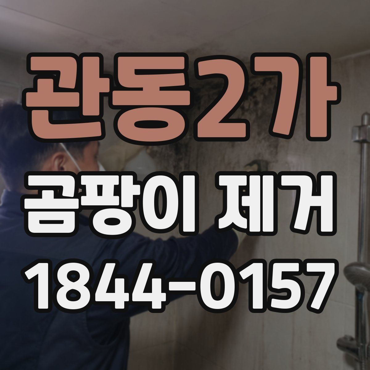 관동2가 곰팡이 제거 청소 도구 고를 때 보는 기준