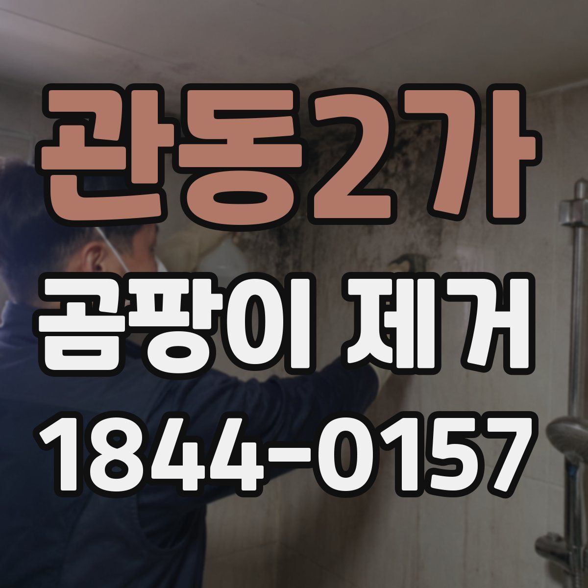 관동2가 곰팡이 제거