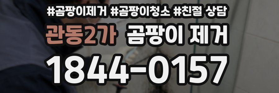 관동2가 곰팡이 제거