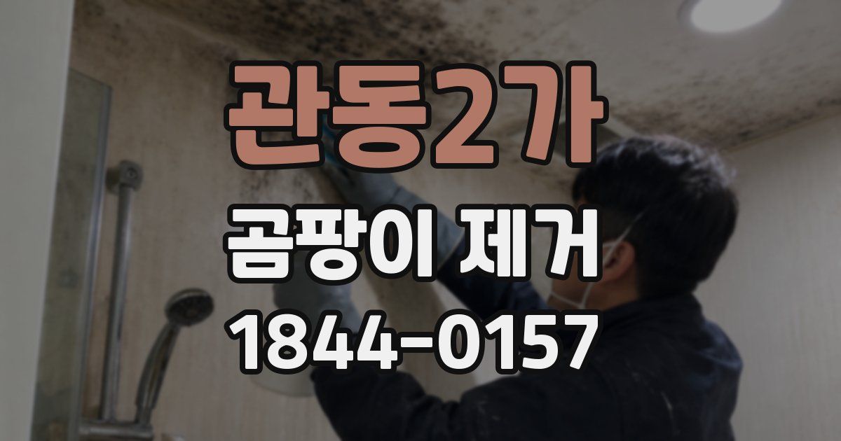관동2가 곰팡이 제거