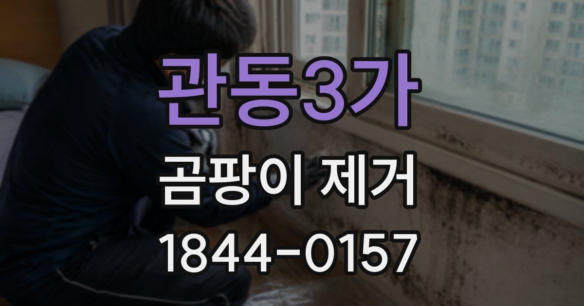 관동3가 곰팡이 제거