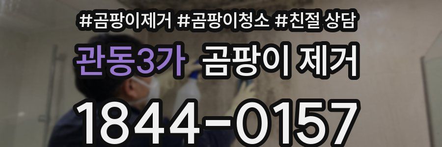 관동3가 곰팡이 제거