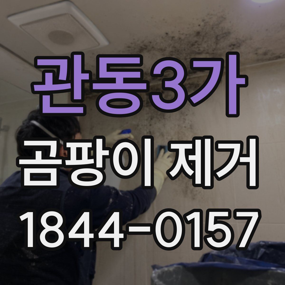 관동3가 곰팡이 제거