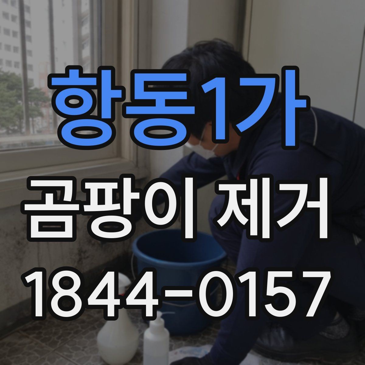 항동1가 곰팡이 제거 전에 체크할 창문 주변 상태