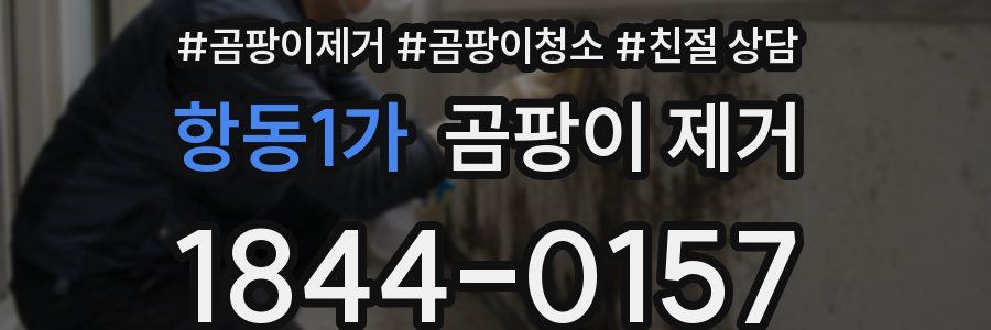 항동1가 곰팡이 제거