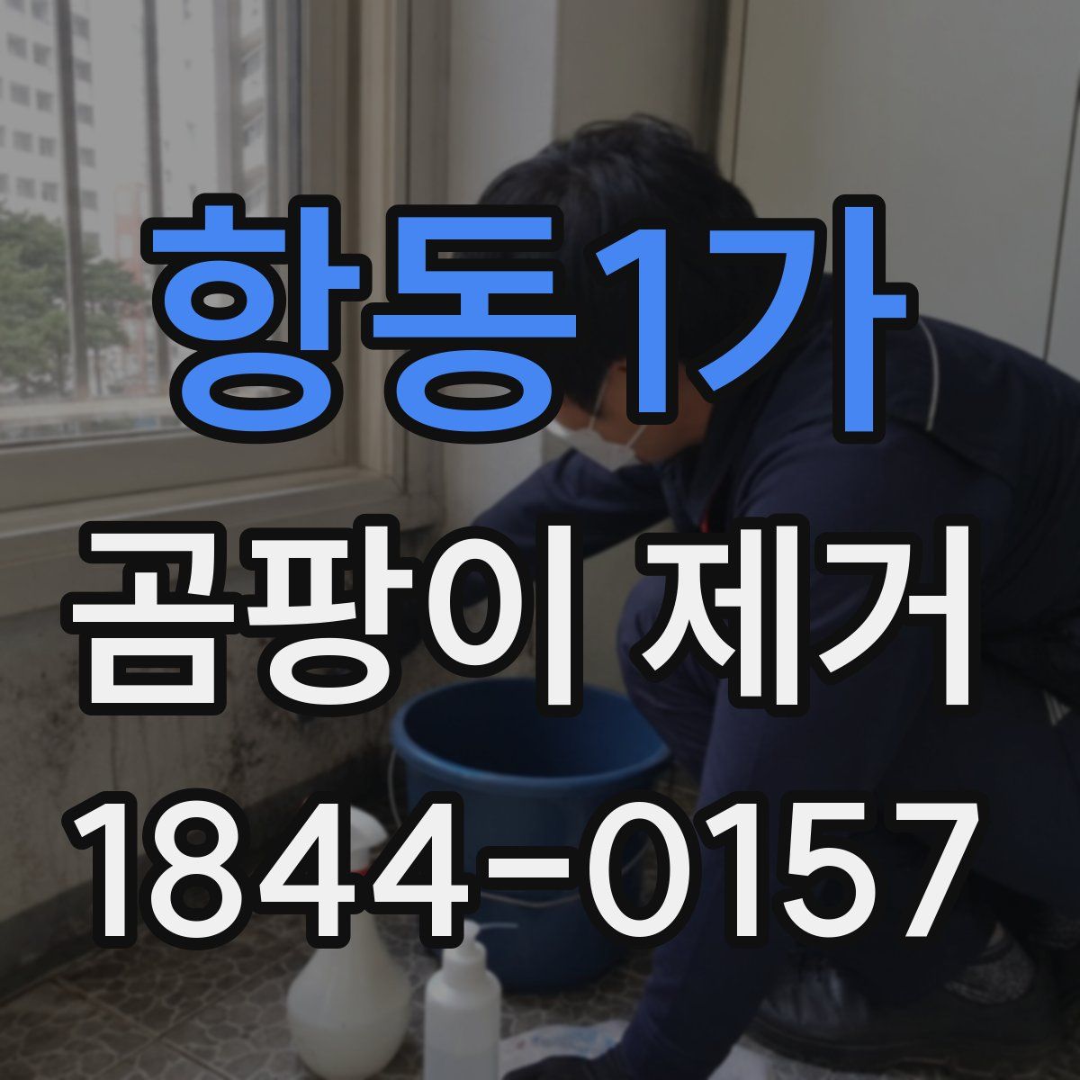 항동1가 곰팡이 제거