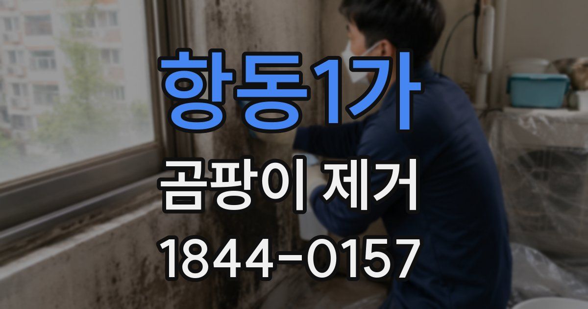 항동1가 곰팡이 제거