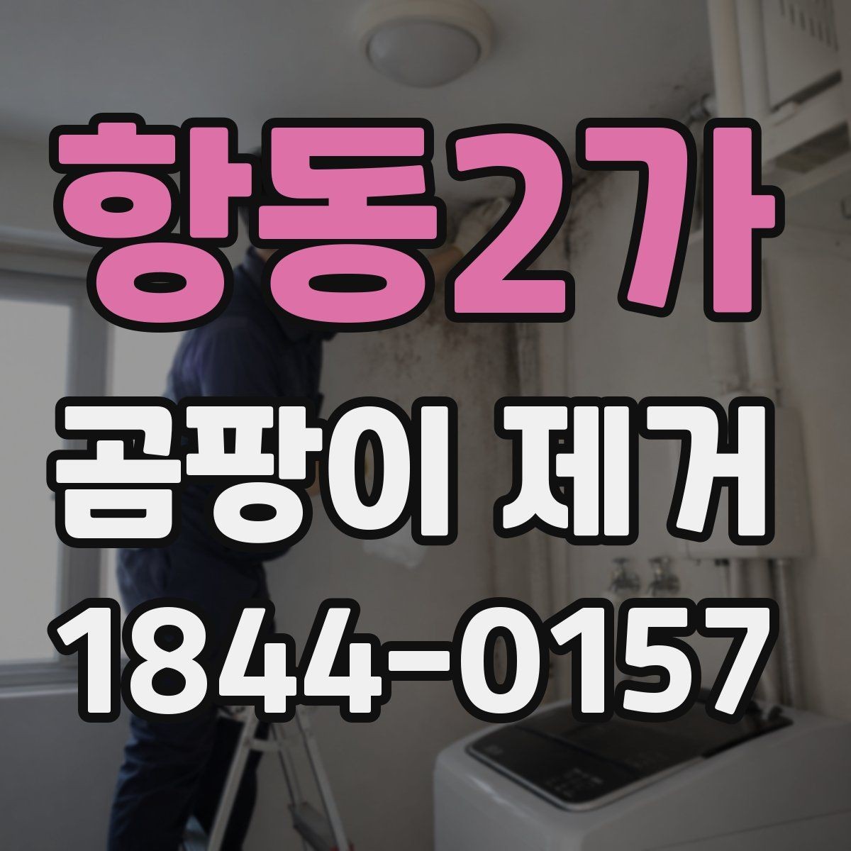 항동2가 곰팡이 제거 청소 후 재발 방지 체크리스트