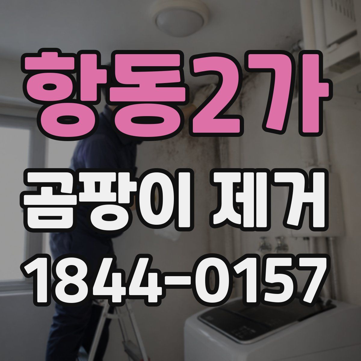항동2가 곰팡이 제거