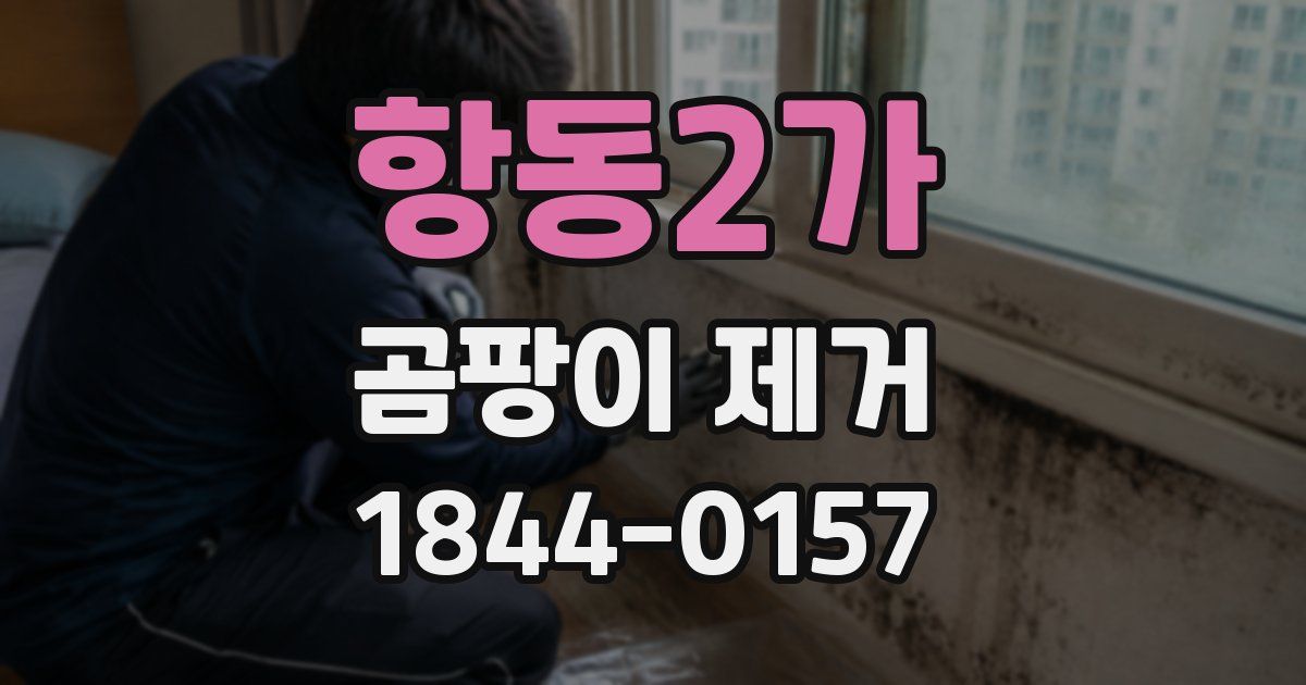 항동2가 곰팡이 제거