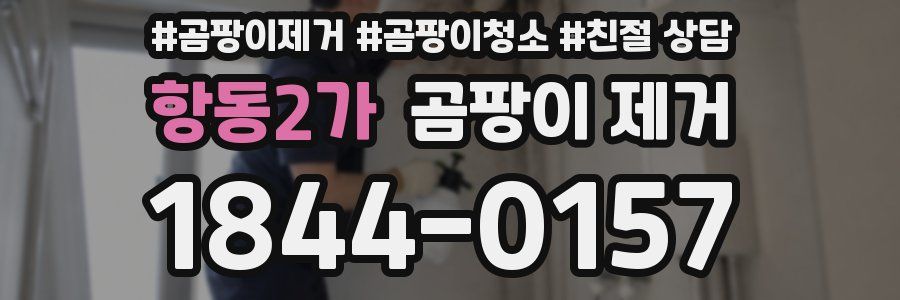 항동2가 곰팡이 제거