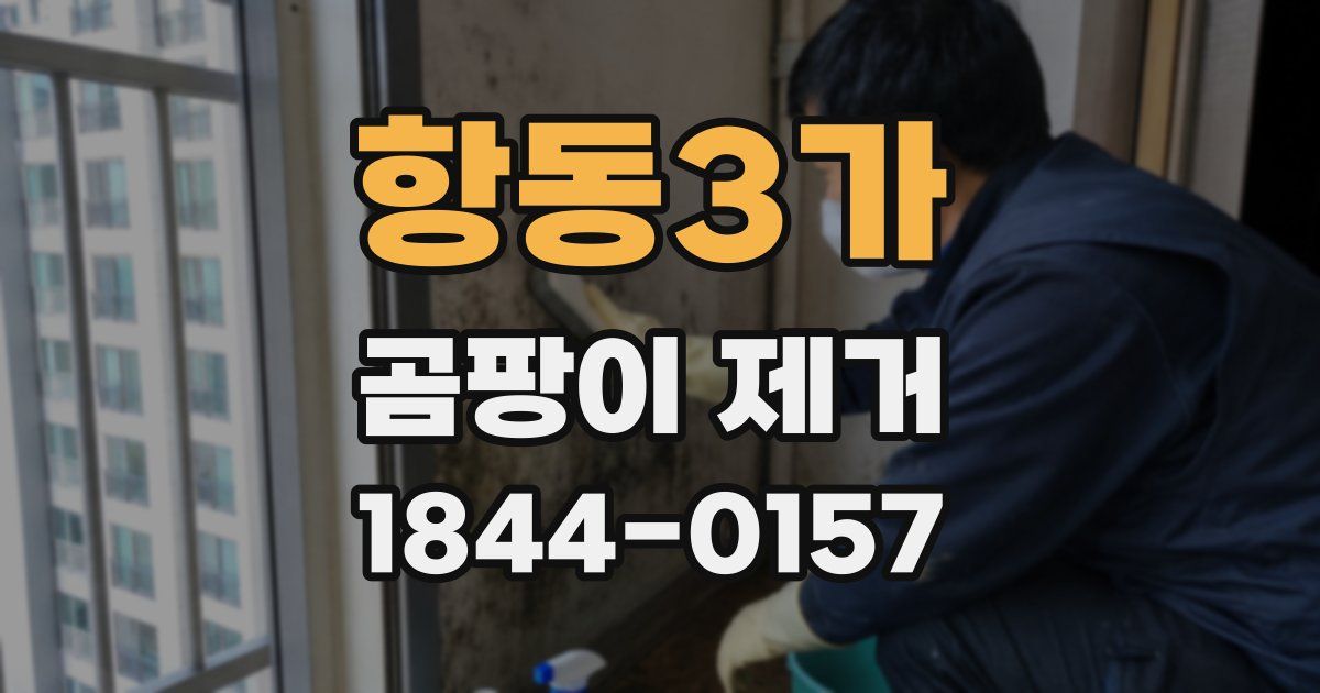 항동3가 곰팡이 제거