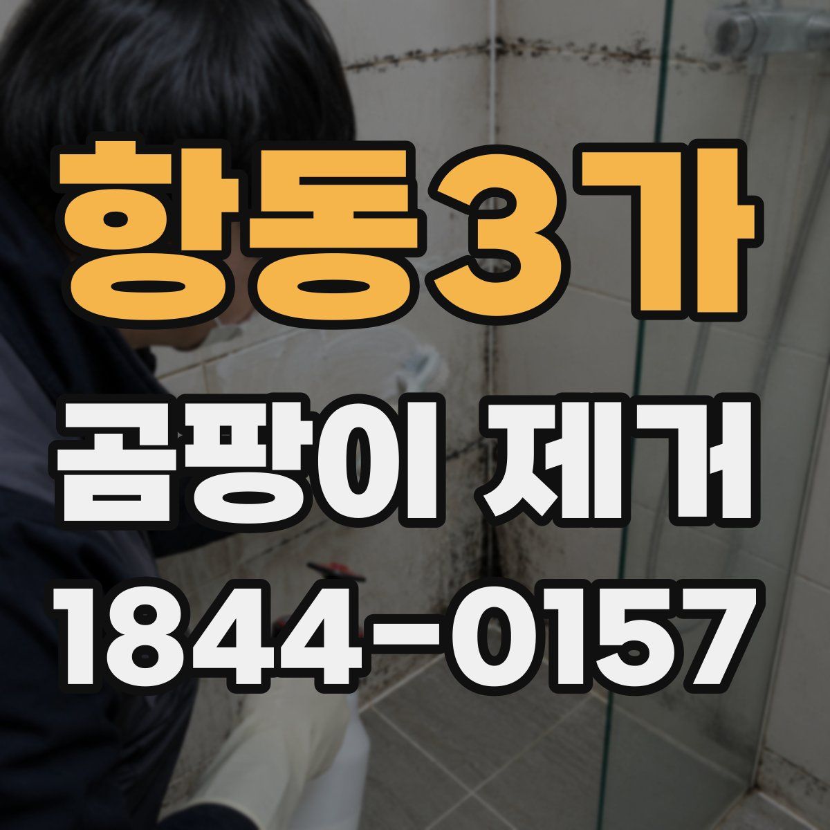 항동3가 곰팡이 제거