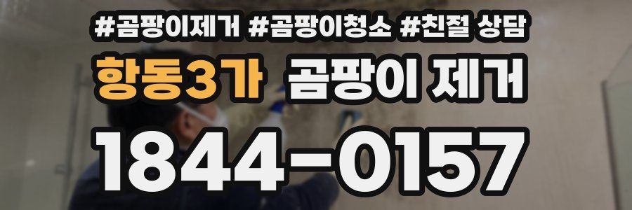 항동3가 곰팡이 제거