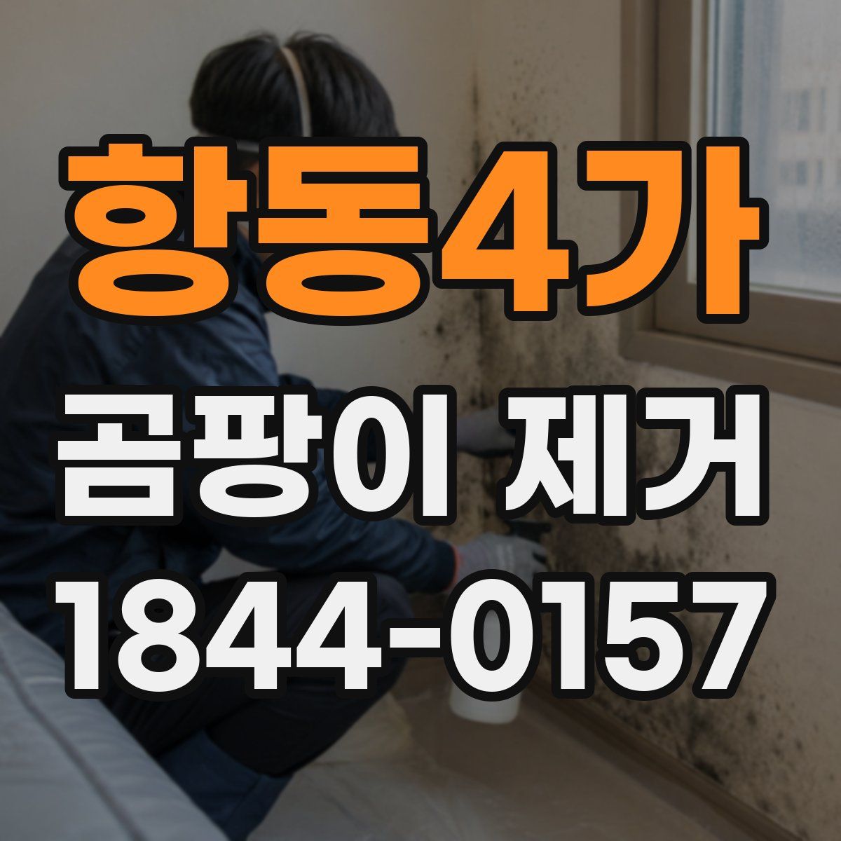 항동4가 곰팡이 제거