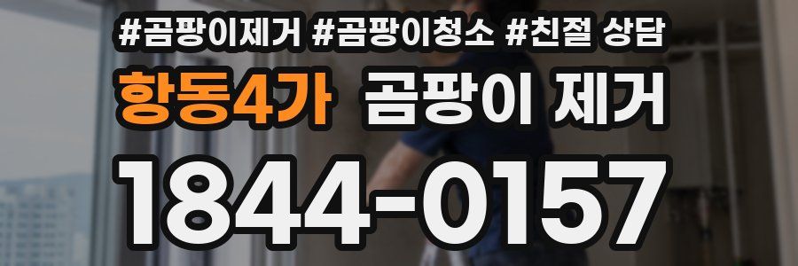 항동4가 곰팡이 제거