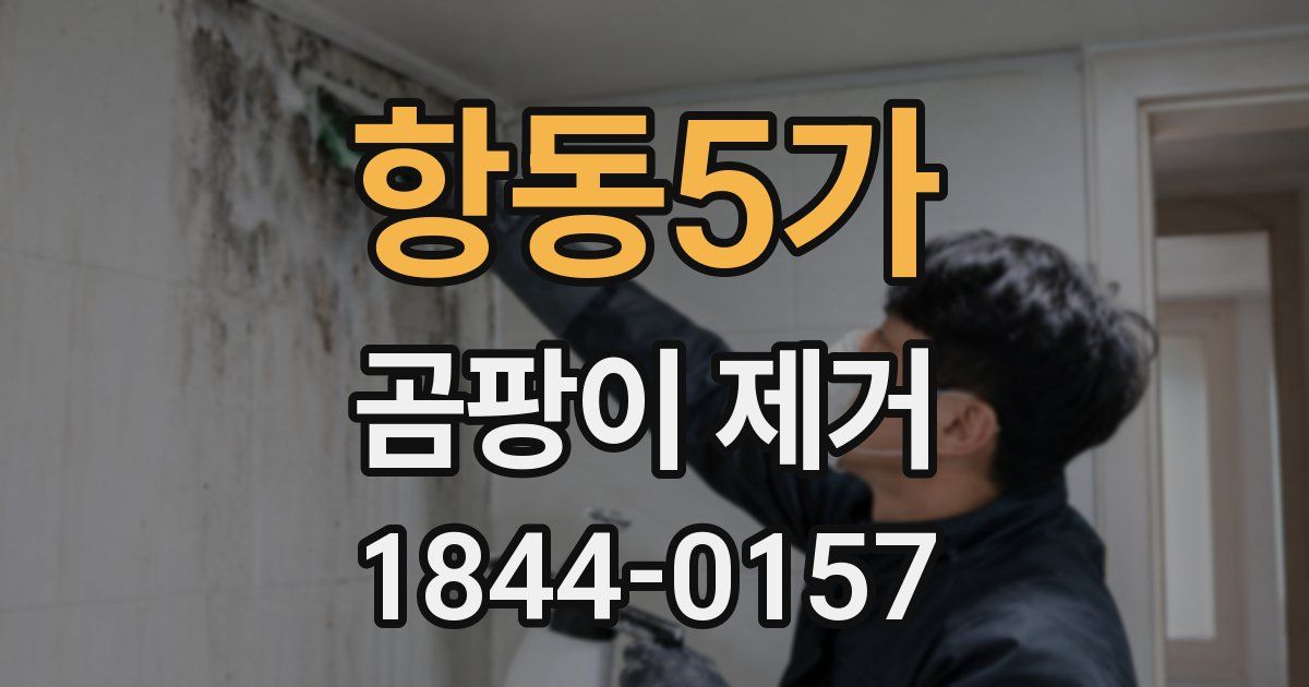 항동5가 곰팡이 제거