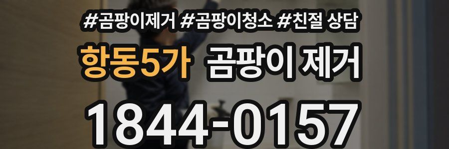 항동5가 곰팡이 제거