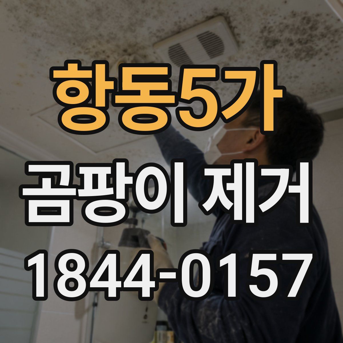 항동5가 곰팡이 제거