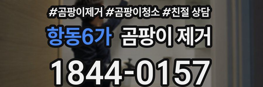 항동6가 곰팡이 제거