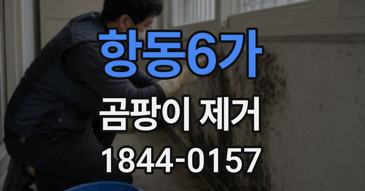 항동6가 곰팡이 제거