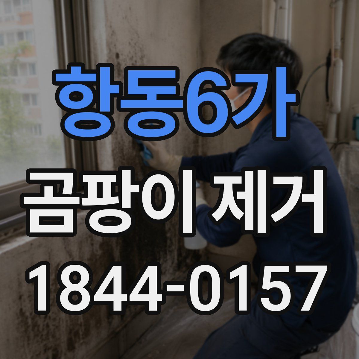 항동6가 곰팡이 제거