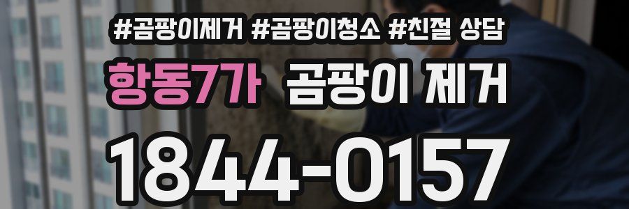 항동7가 곰팡이 제거