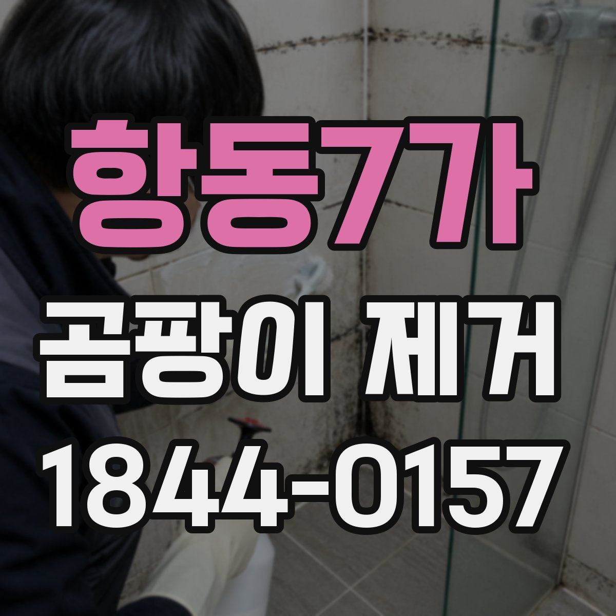 항동7가 곰팡이 제거