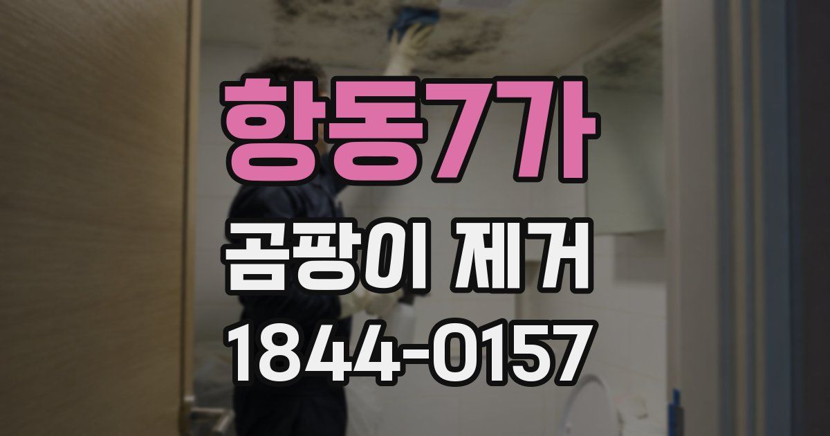 항동7가 곰팡이 제거