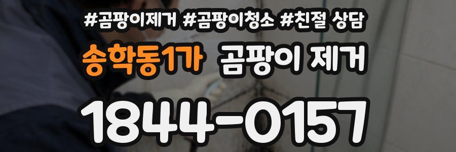 송학동1가 곰팡이 제거