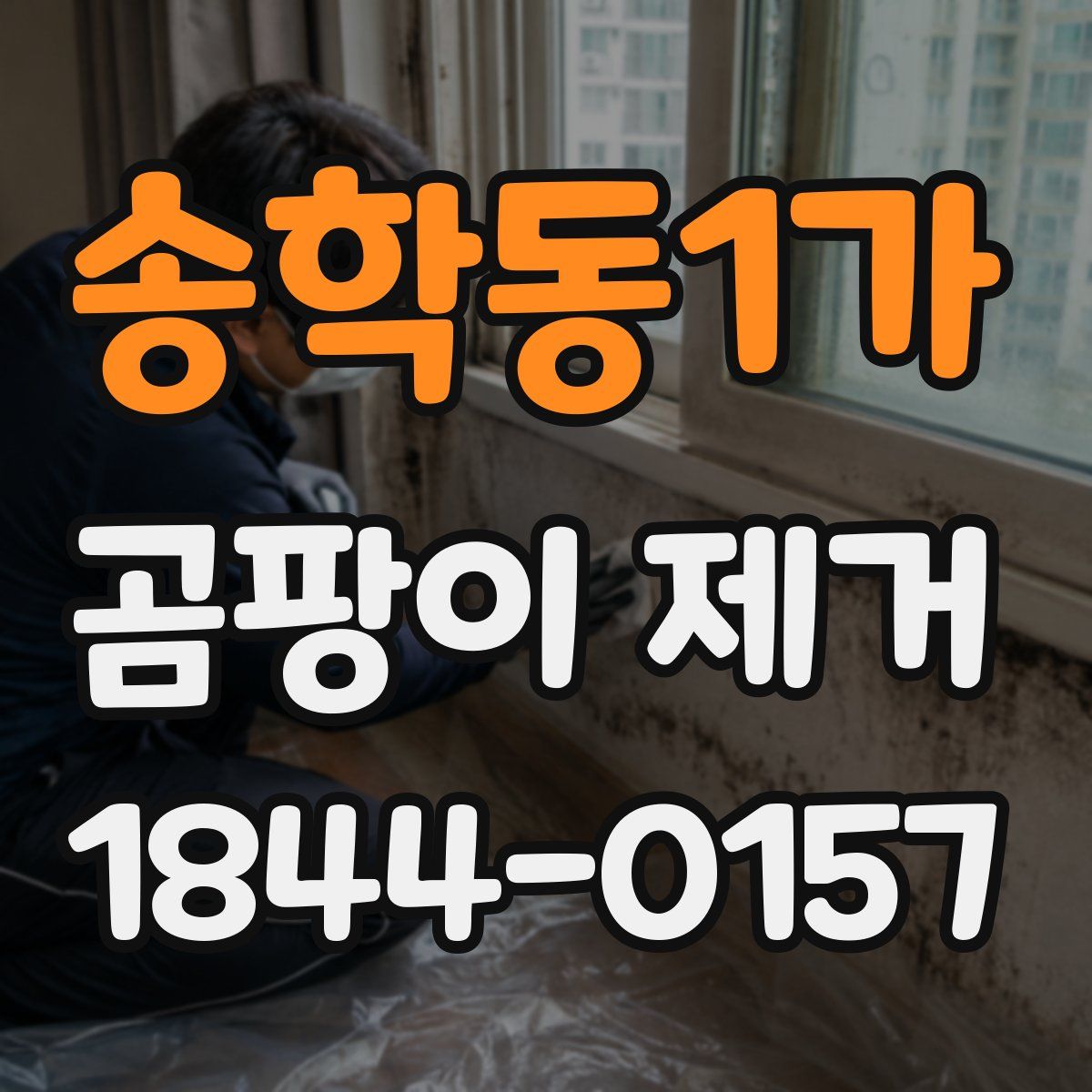 송학동1가 곰팡이 제거