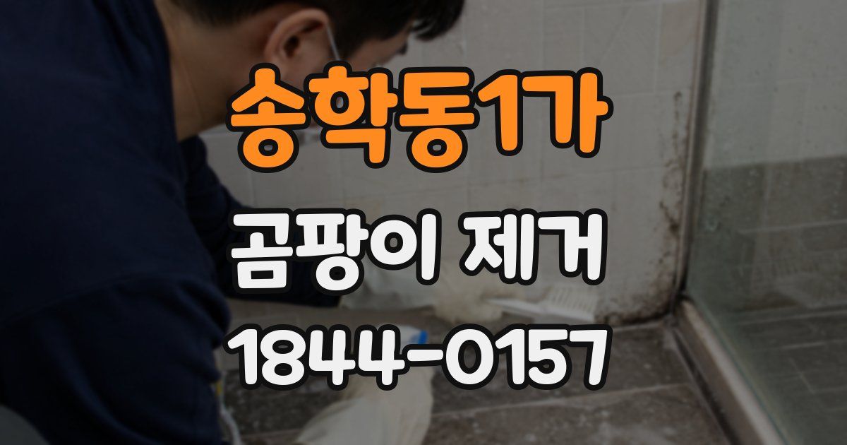 송학동1가 곰팡이 제거