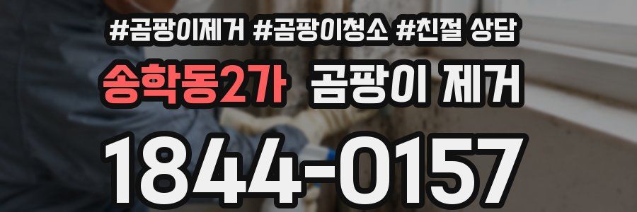 송학동2가 곰팡이 제거