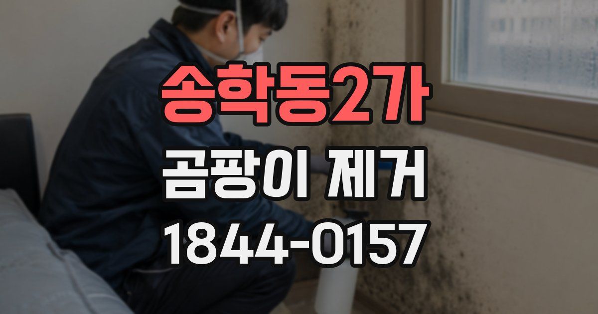 송학동2가 곰팡이 제거