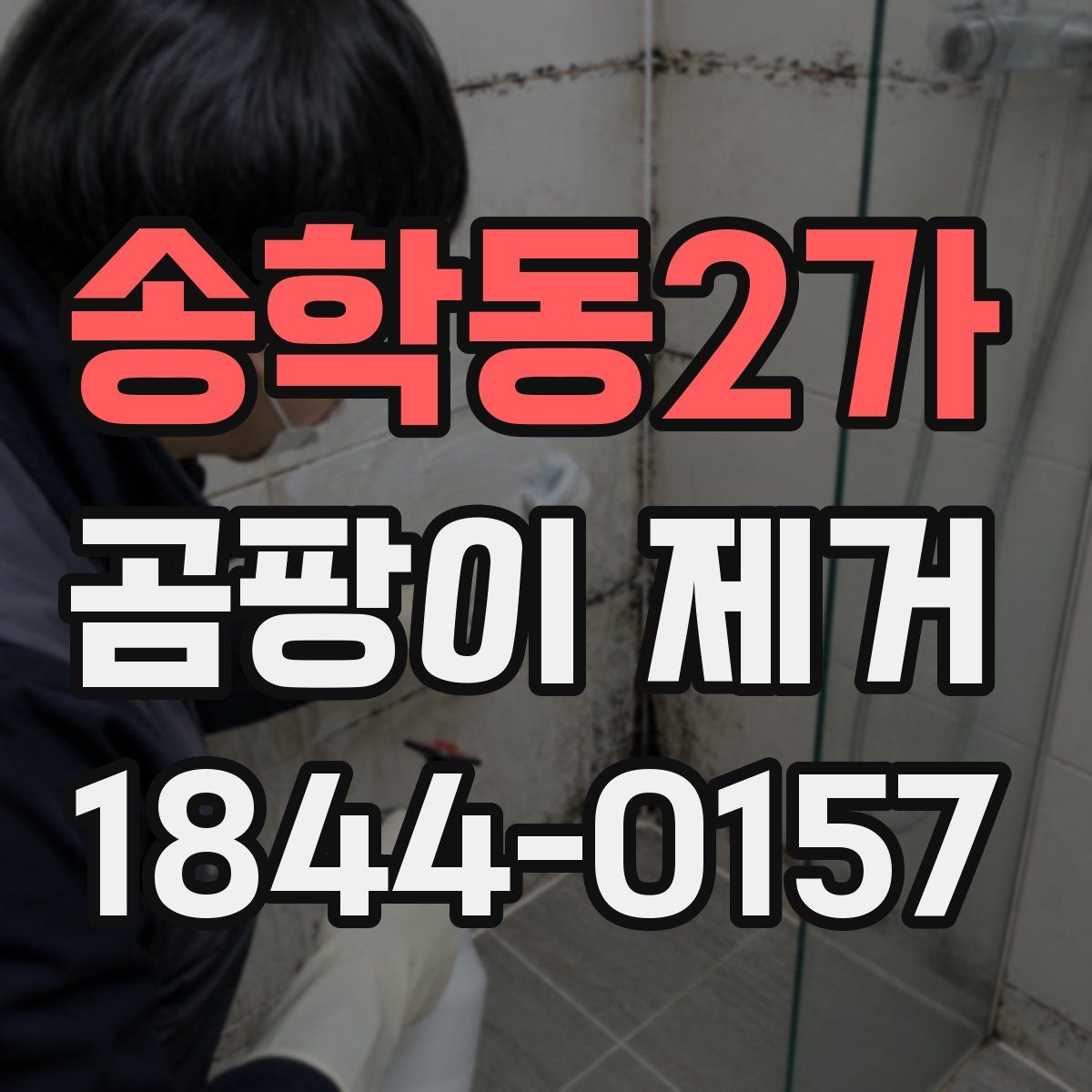 송학동2가 곰팡이 제거