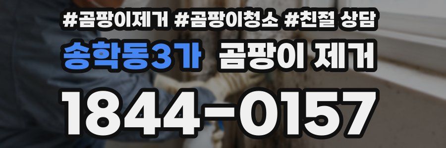 송학동3가 곰팡이 제거