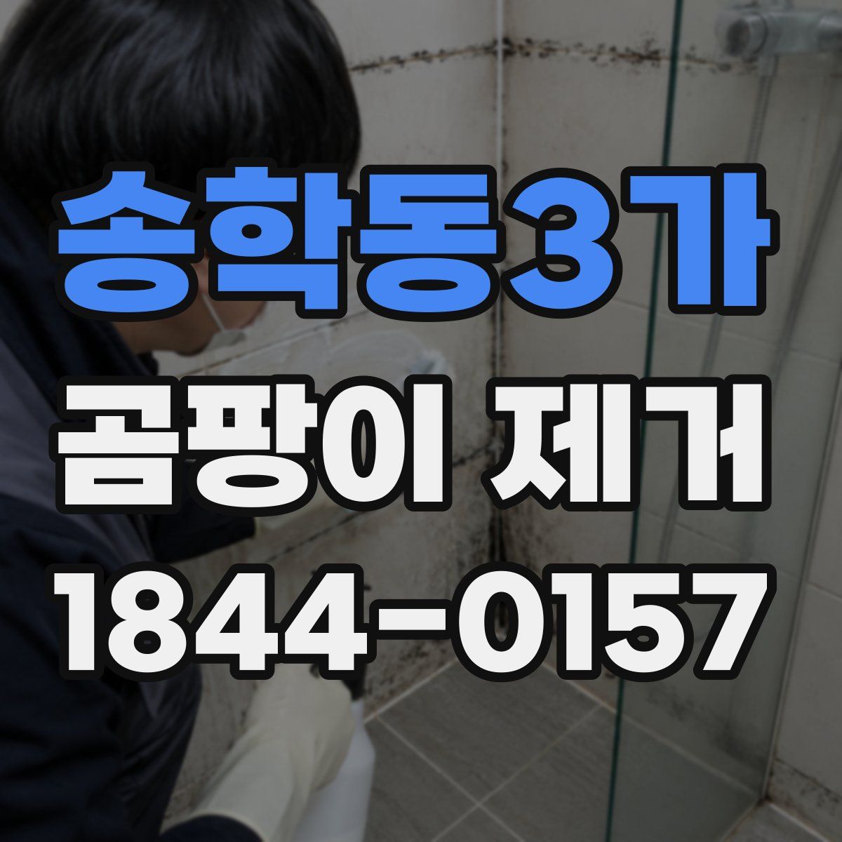 송학동3가 곰팡이 제거
