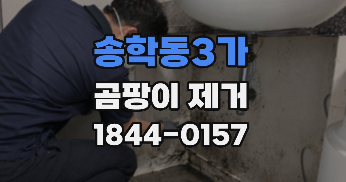 송학동3가 곰팡이 제거