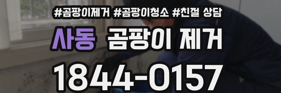 사동 곰팡이 제거
